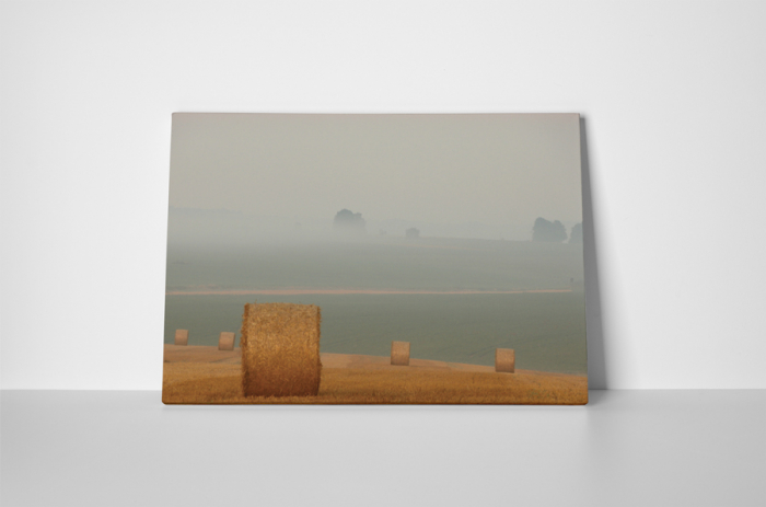 Tablou canvas : Recoltare [2]