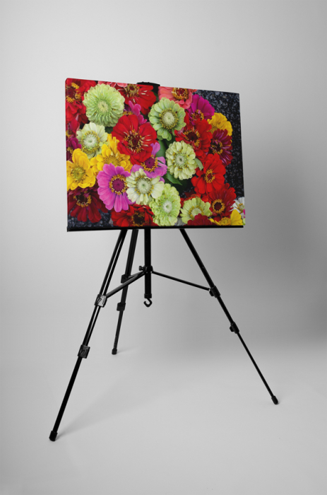 Tablou canvas : Buchet de flori colorate [3]