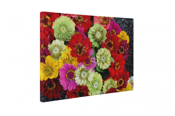 Tablou canvas : Buchet de flori colorate [5]