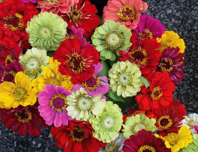 Tablou canvas : Buchet de flori colorate [4]