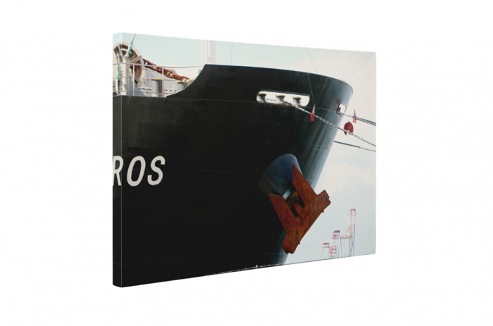 Tablou canvas : Vaporul urias [5]