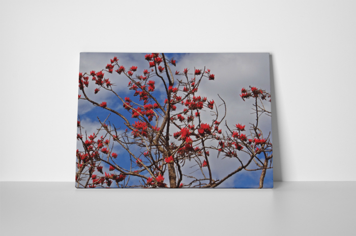 Tablou canvas : Copacul inflorit [2]