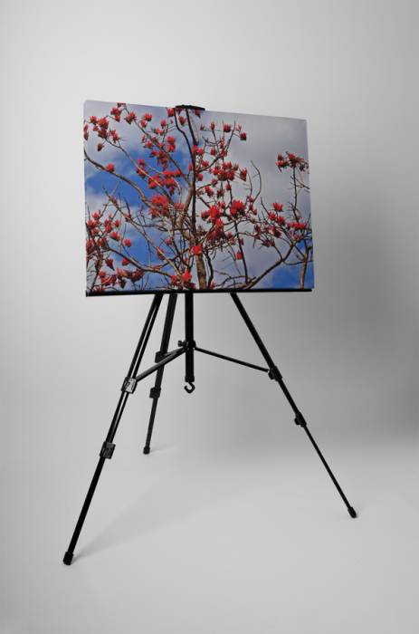 Tablou canvas : Copacul inflorit [3]