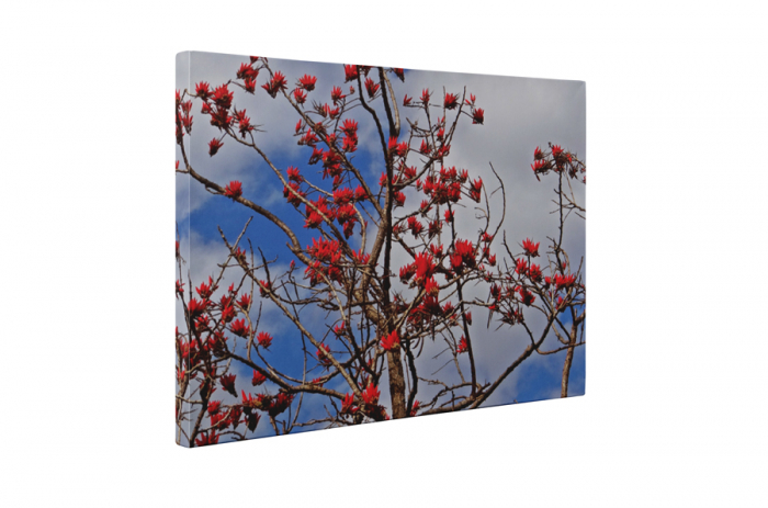 Tablou canvas : Copacul inflorit [5]