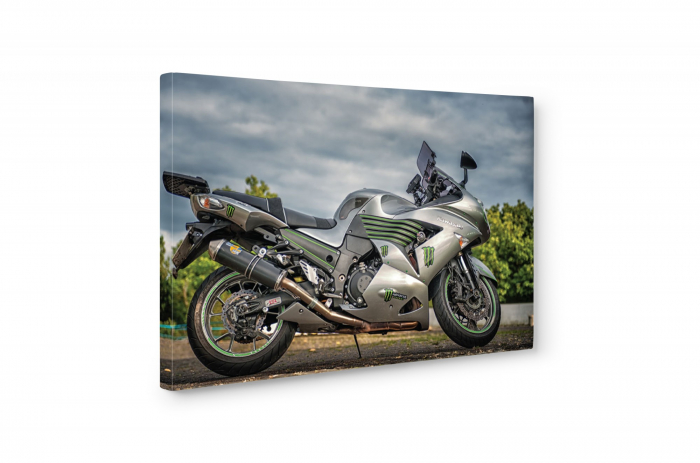 Tablou canvas : Kawasaki [5]