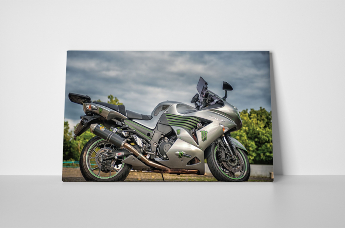Tablou canvas : Kawasaki [3]