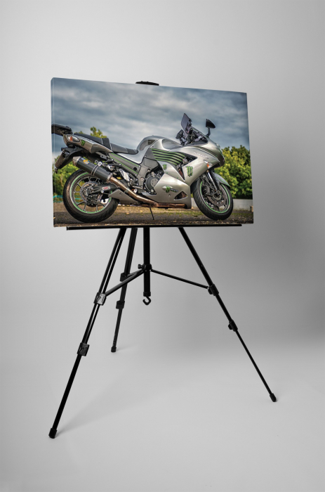 Tablou canvas : Kawasaki [4]
