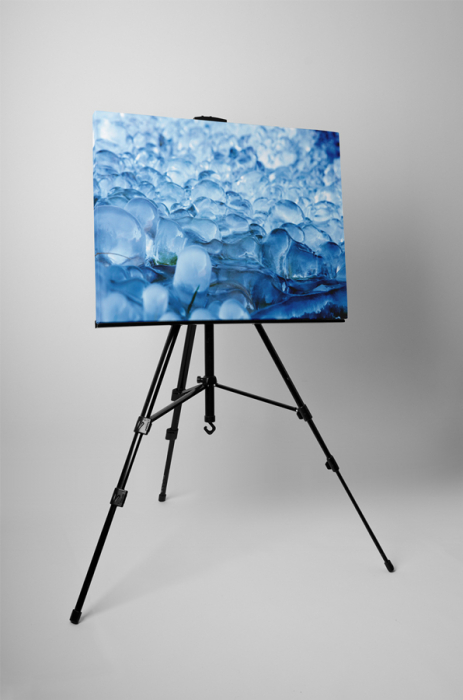 Tablou canvas : Albastreala inghetata [3]