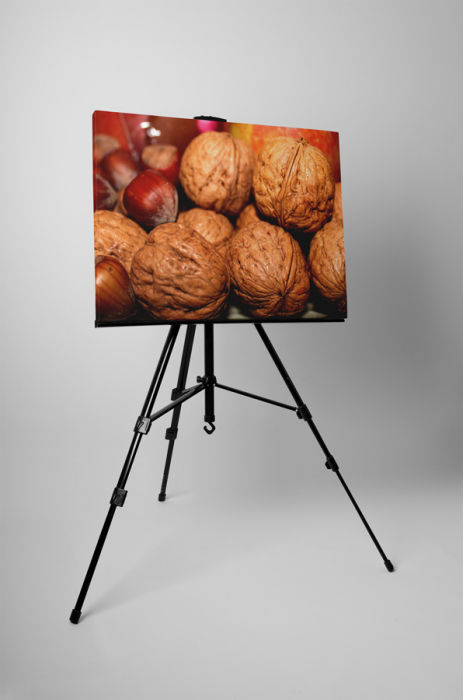 Tablou canvas : Nuci si alune [3]