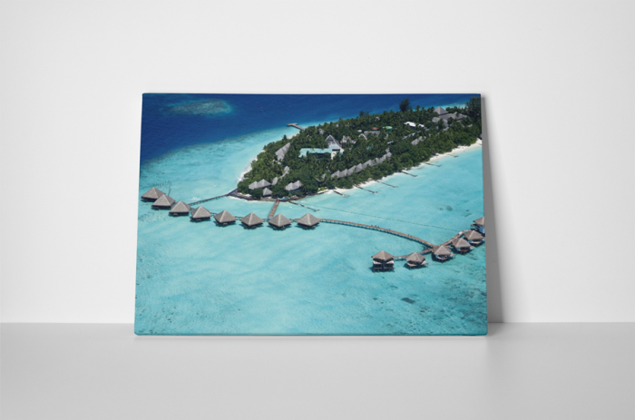 Tablou canvas : Excursie de vis [2]