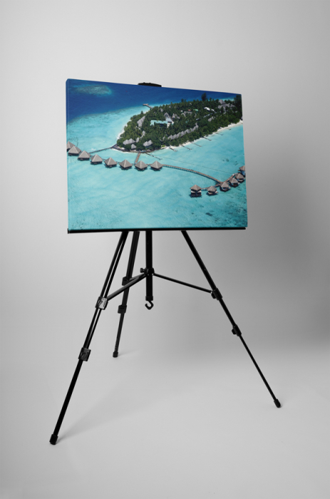 Tablou canvas : Excursie de vis [3]