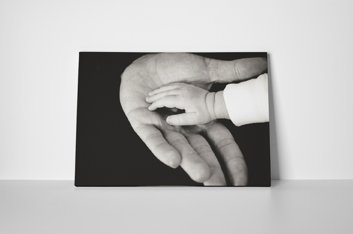 Tablou canvas : Gingasie [3]