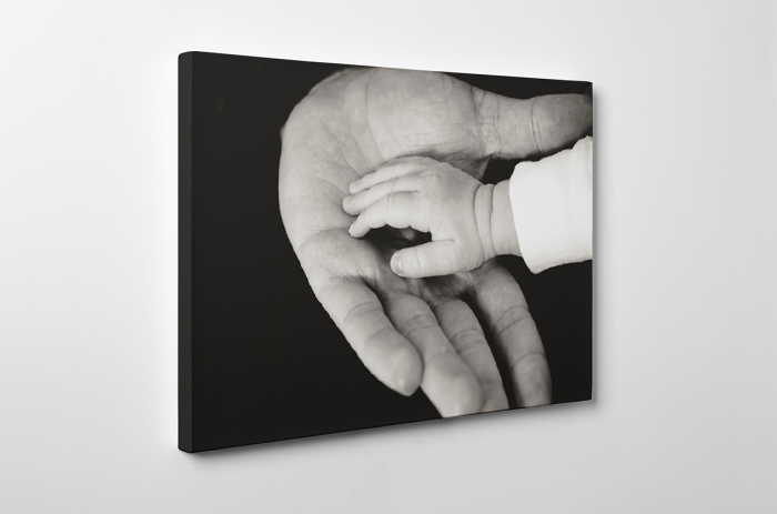 Tablou canvas : Gingasie [1]