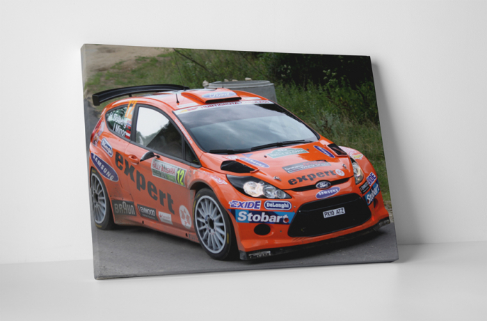 Tablou canvas : Masina raliu Ford Fiesta [1]