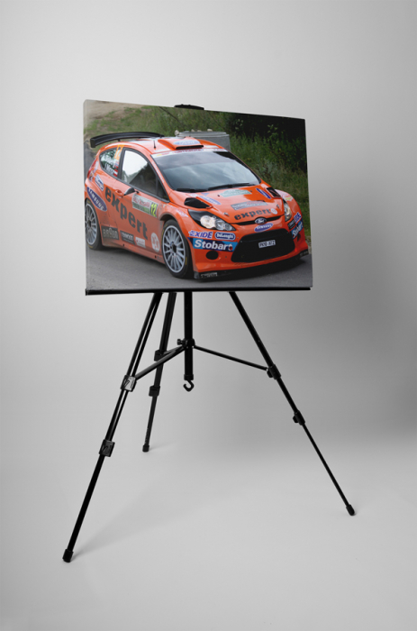 Tablou canvas : Masina raliu Ford Fiesta [3]