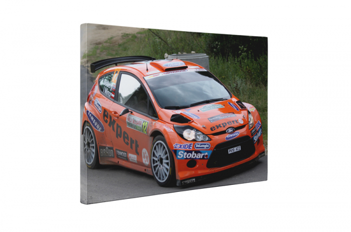 Tablou canvas : Masina raliu Ford Fiesta [5]