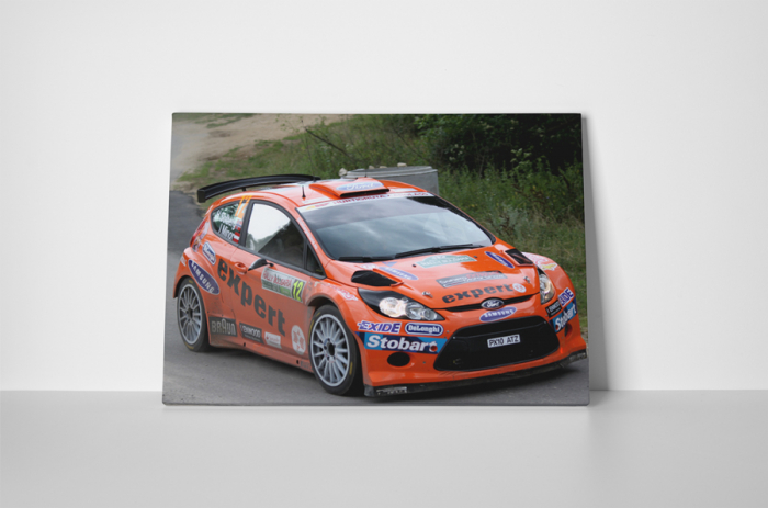 Tablou canvas : Masina raliu Ford Fiesta [2]