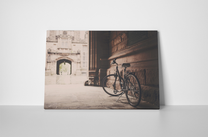 Tablou canvas : Bicicleta [2]