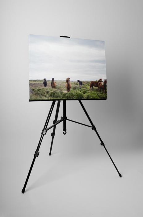 Tablou canvas : Armasari pe camp [3]