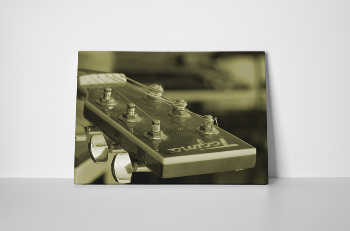 Tablou canvas : Corzi [2]