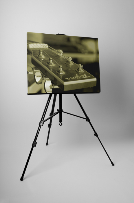 Tablou canvas : Corzi [3]