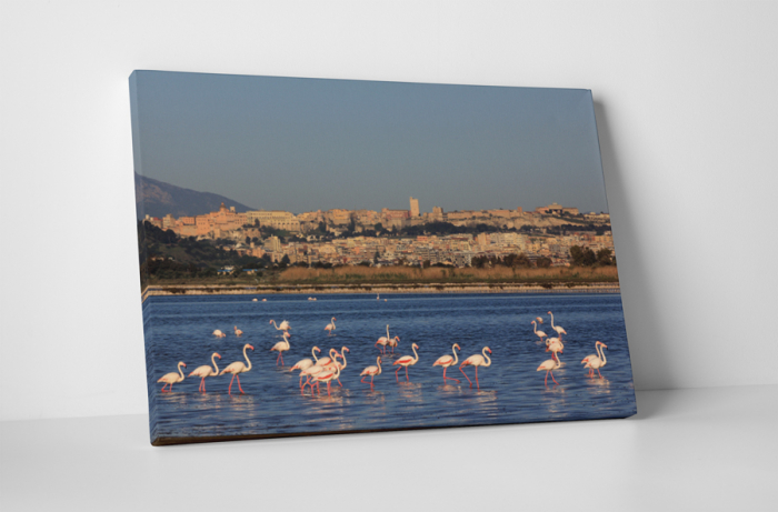 Tablou canvas : Familie de flamingo [1]