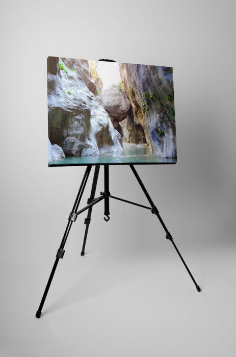 Tablou canvas : Printre stanci [3]