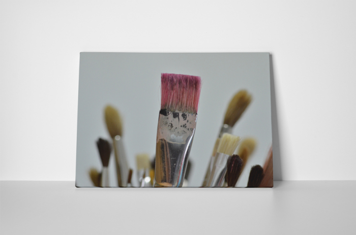Tablou canvas : Pensule [2]