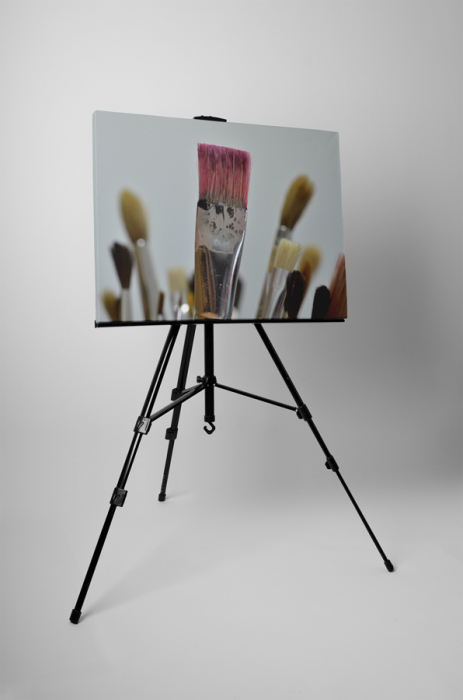 Tablou canvas : Pensule [3]