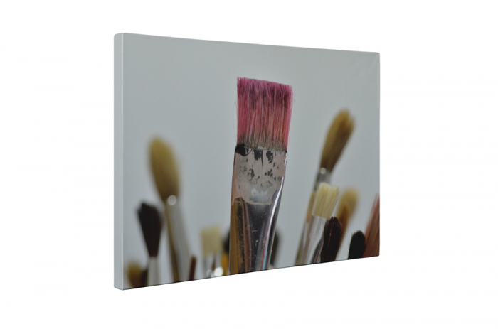 Tablou canvas : Pensule [5]