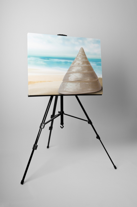 Tablou canvas : Melc special [3]