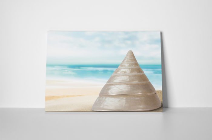 Tablou canvas : Melc special [2]