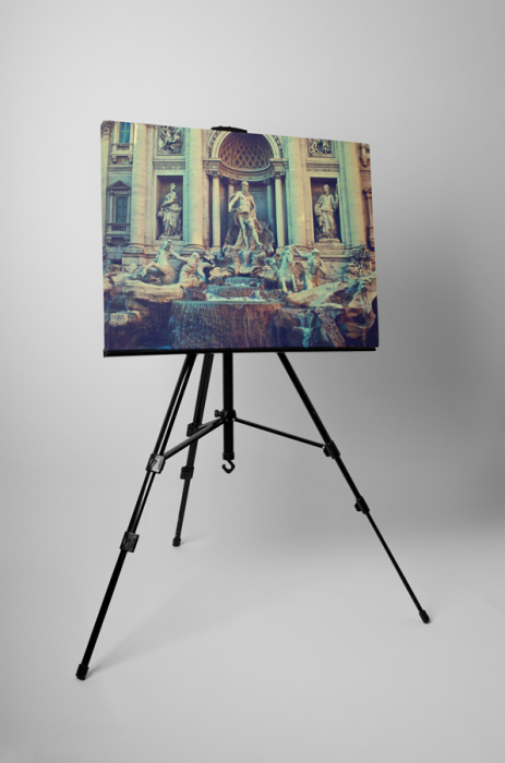 Tablou canvas : Fontana di Trevi [3]