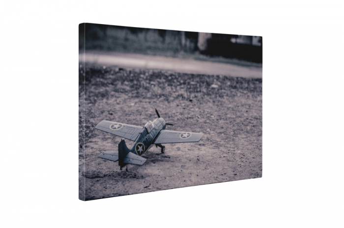 Tablou canvas : Mini avion de razboi [5]