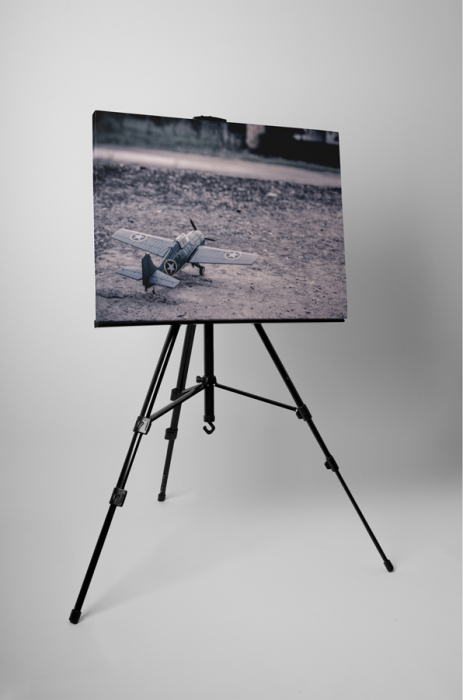 Tablou canvas : Mini avion de razboi [3]