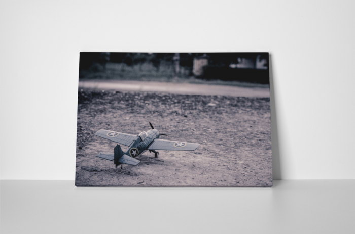 Tablou canvas : Mini avion de razboi [2]