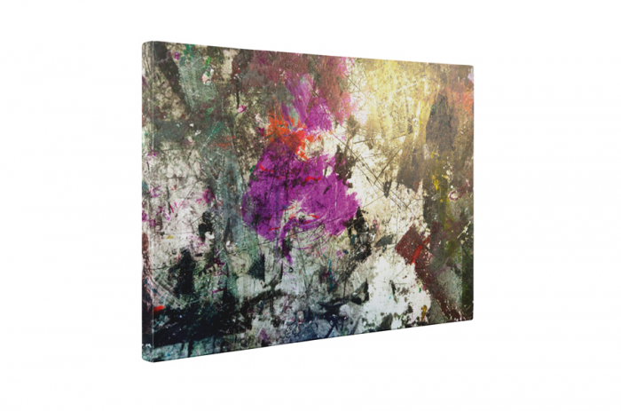 Tablou canvas : Pictura abstracta [5]