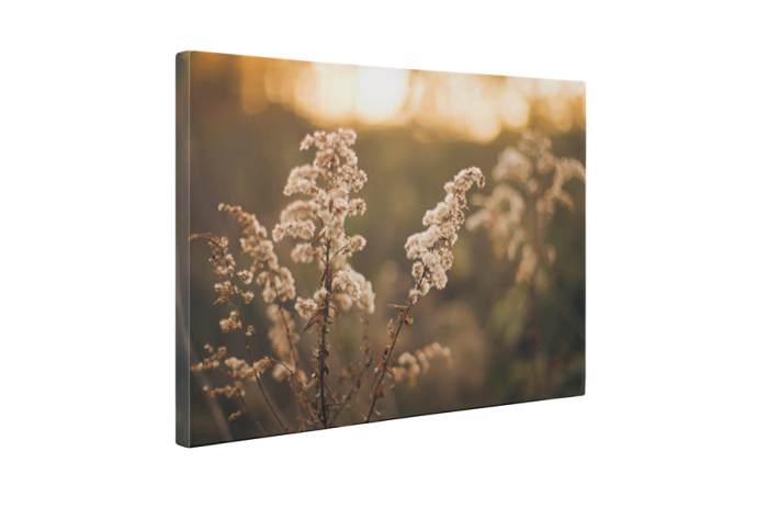 Tablou canvas : Apus de soare pe lunca [5]