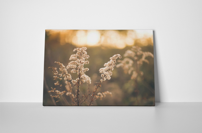 Tablou canvas : Apus de soare pe lunca [2]