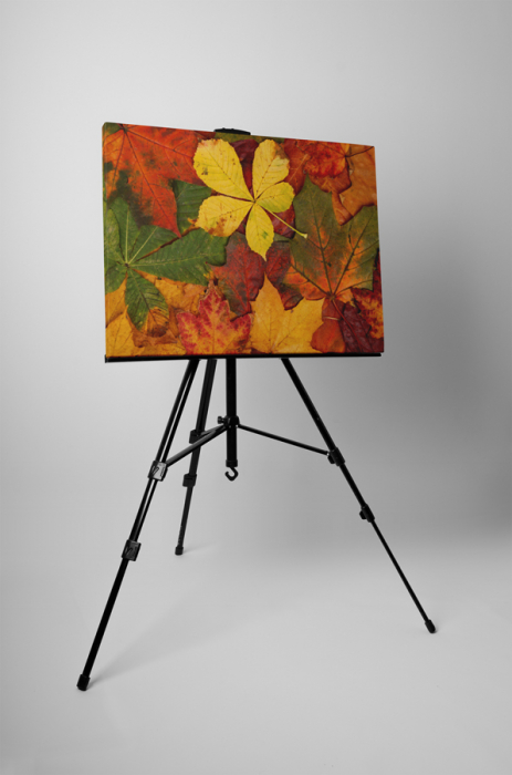 Tablou canvas : A venit toamna [3]