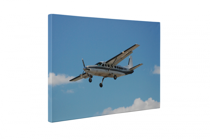 Tablou canvas : Avion Cessna [5]