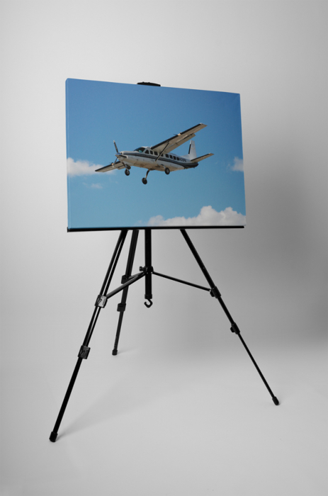 Tablou canvas : Avion Cessna [3]