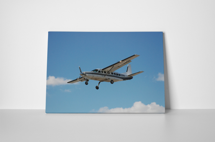 Tablou canvas : Avion Cessna [2]