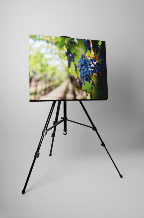 Tablou canvas : Struguri rosii [3]