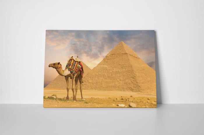 Tablou canvas : O camila [2]