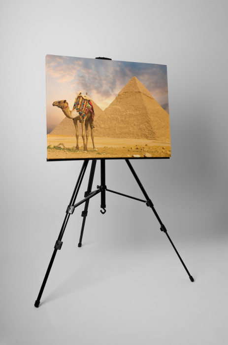 Tablou canvas : O camila [3]