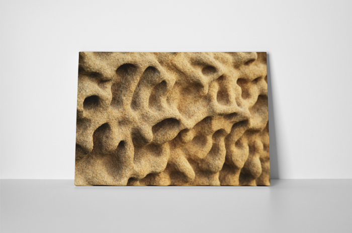 Tablou canvas : Roca [2]