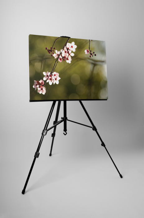 Tablou canvas : Floare de cires [3]