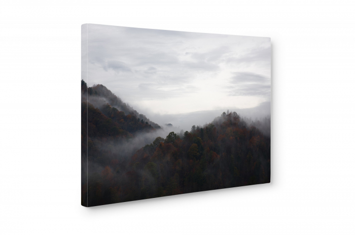 Tablou canvas : Deal cetos [3]