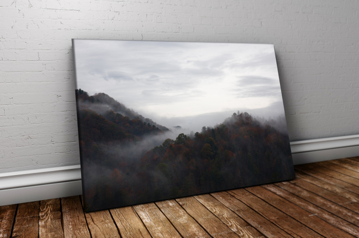 Tablou canvas : Deal cetos [4]